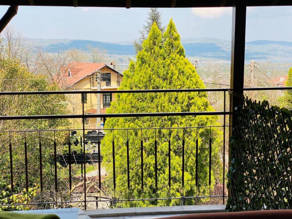 Hotel Butik
